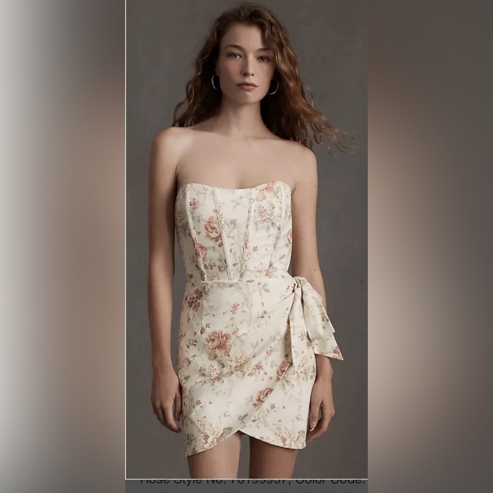 V. Chapman Mini Dress with Tags